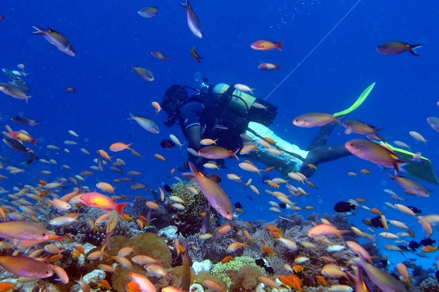 Discover Scuba Diving