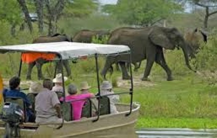 Day Trip To Selous Game Reserve