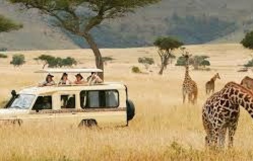 Day Trip To Lake Manyara National Park